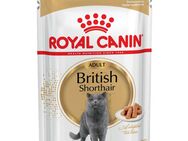 Royal Canin British Shorthair Adult in Soße - 12 x 85 g