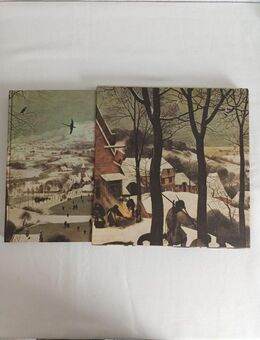 Einführung in Bruegel von Claude Mettra mit Schuber im Schuber zum rausziehen - Essen