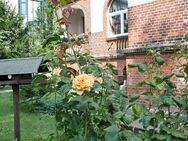 Sanierte 2 Zimmer Wohnung in Zentraler Lage von Stadtfeld - Magdeburg