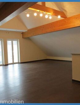 Big House, 3 Bedrooms, 3 Bathrooms, Studio and more and more..... - Bitburg