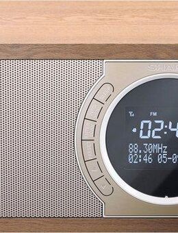 Sharp DR-450 Digitalradio (DAB) (Automatische Senderverfolgung, Digitalradio (DAB), FM-Tuner mit RDS, 6 W)