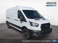 Ford Transit, Kasten Trend 350L3, Jahr 2022 - Schönburg