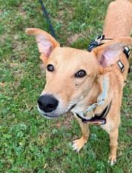 Keylam wartet auf dich! - München