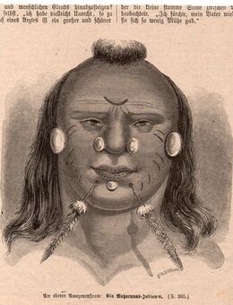 Am oberen Amazonenstrom : Ein Mayorunas - Indianer , von Hildierand , Blatt 16cm x 14cm , Grafik , M7 - Görlitz