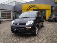 Fiat Panda, Pandina MY24, Jahr 2024 - Dessau-Roßlau