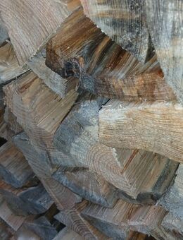 Feuerholz von Privatbesitz - Königsbrück