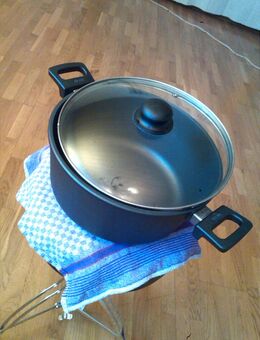 Kochtopf Topf Woll "Nowo Titanium" Ø 28 cm, mit Deckel - Traunstein