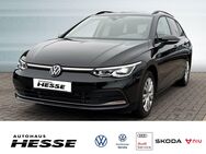 VW Golf Variant, 2.0 TDI VIII Style, Jahr 2024 - Sottrum