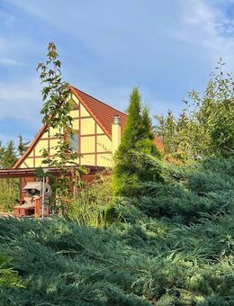 Wunderschönes Anwesen mit Einfamilienhaus Badeteich und Nebengebäuden in traumhafter Alleinlage - Zehna