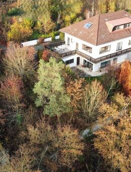 Traumlage: Freistehendes Einfamilienhaus in BA - unterhalb der Altenburg - Bamberg