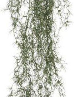 Kunstranke Tillandsia, Creativ green, Höhe 120 cm, mit filigranen Ranken