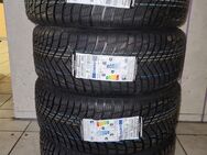 4x 205/55 R16 94V Premiorri Vimero 4SEASONS Ganzjahresreifen - Euskirchen Zentrum