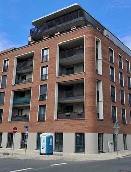 Wohnung in Dresden - Dresden