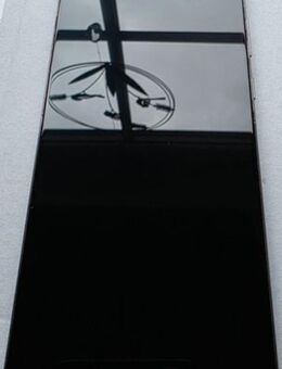 Samsung Galaxy Note20 5G SM-N981B/DS - 256GB - Mystic Gray (Ohne Simlock)... - Langwedel (Niedersachsen)