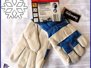 NEU ! Warme gefütterte Thermo Nappa Leder - Baumwolle Winter Arbeitshandschuhe Gr. L 9 Garten Marke Thinsulate Handschuh Tulpenstolz - Hamburg