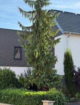 Bieterverfahren: Erstklassiges WohnerlebnisHaus-Feeling-Design, eigener Garten, Raumwunder! - Angelbachtal