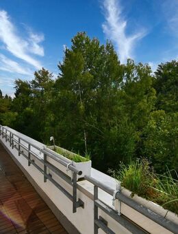 Top 4 Zi Terrassenwhg. für Natur- u.Tierliebhaber - Eppstein