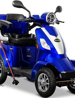 Rolektro Elektromobil Rolektro E-Quad 25 V.2, Blei-Gel-Akku, 1000 W, 25 km/h, (mit Topcase)
