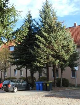 dörfliche Idylle und nette Hausgemeinschaft - Braunsbedra