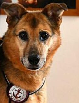 Susa sucht ihre Menschen - München