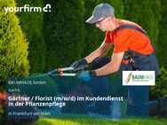 Gärtner / Florist (m/w/d) im Kundendienst in der Pflanzenpflege - Frankfurt (Main)