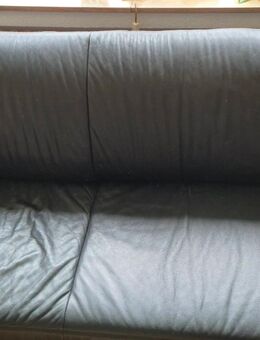 Ledersofa und Gästebett in einem - Düsseldorf