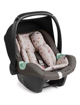 Babyschale ABC Design Tulip i-Size Teddy NEU - Dresden