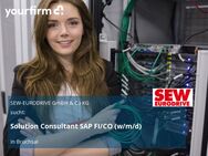 Solution Consultant SAP FI/CO (w/m/d) - Bruchsal