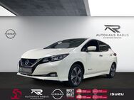 Nissan Leaf, h e Tekna, Jahr 2020 - Memmingen