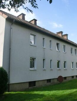 WWS - großzügig geschnittene Familienwohnung - - Herford (Hansestadt)