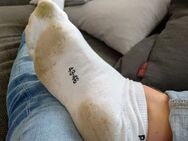 Biete getragene sneaker socks an. - Greven (Nordrhein-Westfalen)