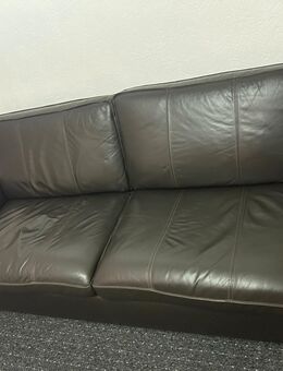 Ledersofa - Osnabrück