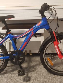 Kinderfahrrad Kettler Blaze 20 Zoll Shimano 6 Gangwie neu - Lahr (Schwarzwald)