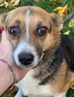 Ludmila möchte ihr eigenes Zuhause - Beltheim