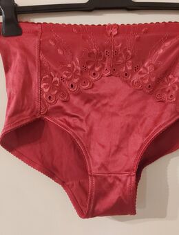 pinke Glanz Miederhose - Goslar