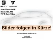 Ford Tourneo Custom, , Jahr 2013 - Rheinfelden (Baden) Zentrum