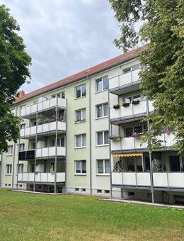 Mieter für chicke 3-Raum-Wohnung mit Balkon gesucht - Chemnitz