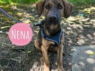 Nena ein kleiner Engel - Flörsheim-Dalsheim