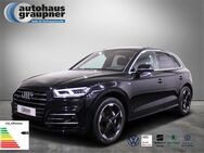Audi Q5, 55 TFSIe quattro, Jahr 2020 - Brandis