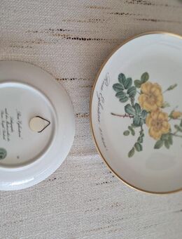 Wandteller - Sprockhövel Zentrum