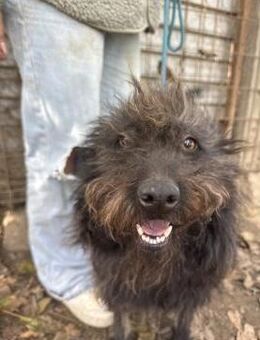 Beneth - sucht das große Glück! - Köln