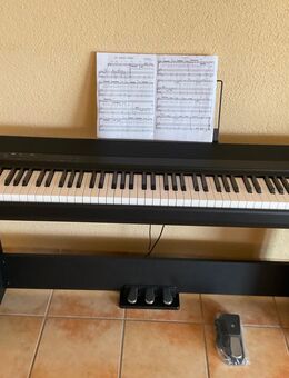 Stagepiano Thomann DP 28 Plus mit festen Ständer etc - Rheinbrohl