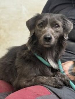 Fenyes Leo - Marsberg