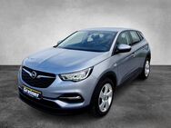 Opel Grandland, 1.2 Edition ||LRHZ||, Jahr 2020 - Deggendorf