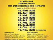Kleintiermarkt mit Geflügel und Vogelbörse in 53894 Mechernich, - Swisttal