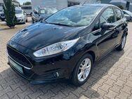 Ford Fiesta 1,25 Celebration;AC, SH, Alu,Winterp.,BT - Willich