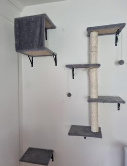 Kleines Katzenparadies - St. Gallen