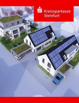 Seltenheit verdient Beachtung - Emsdetten