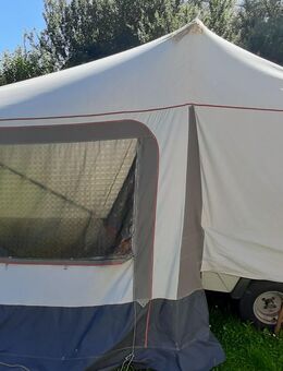 Faltcampinganhänger Camp-let Royal - Hütten (Schleswig-Holstein)