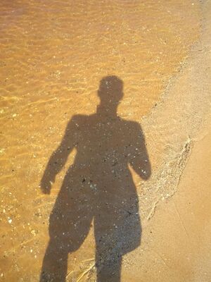 Profil